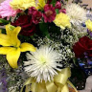 Meet your Posher, Dee